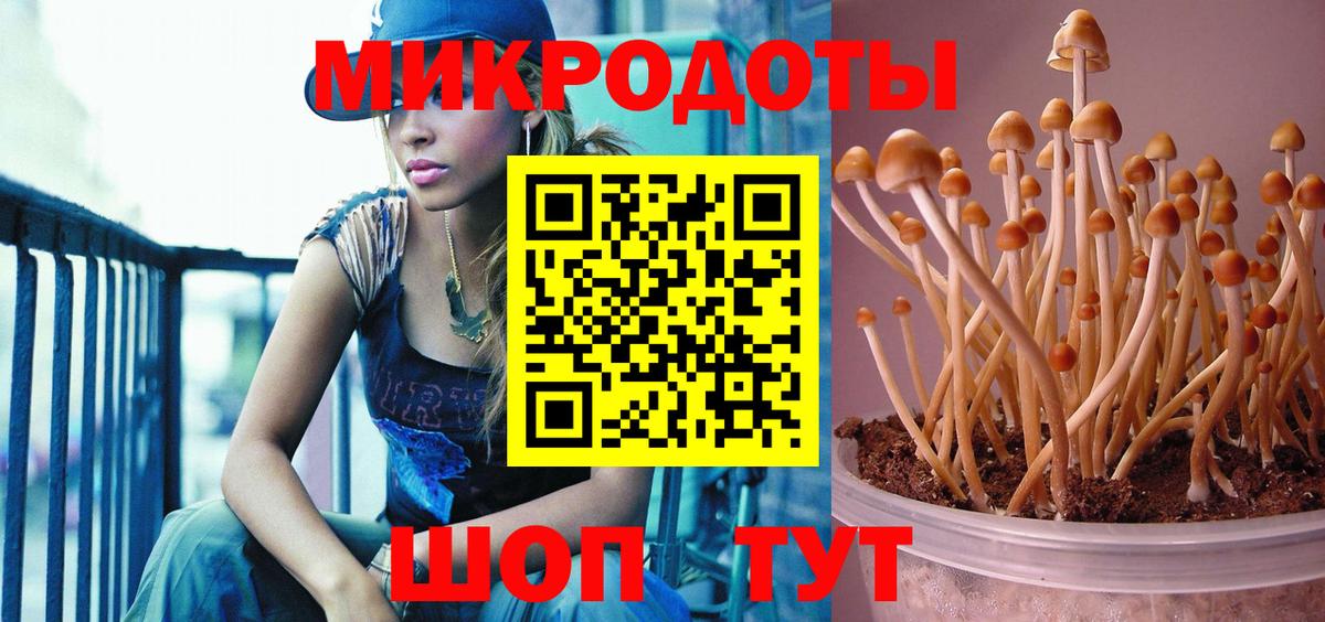 Галлюциногенные грибы Psilocybe  Вход с VPN  Елец 
