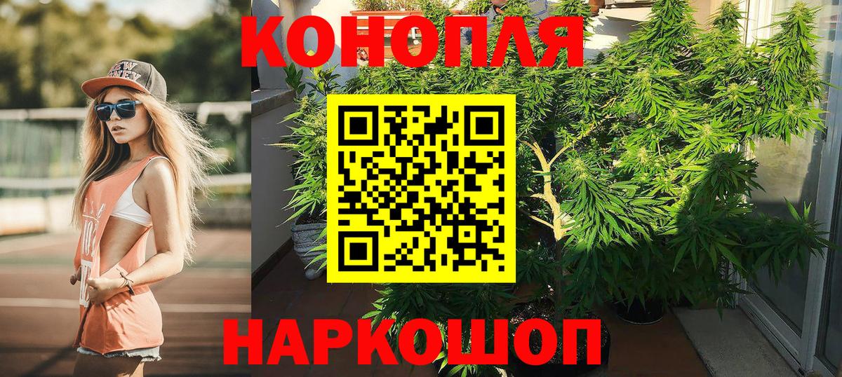 Елец  Бошки марихуана OG Kush  Марихуана семена  Вход с VPN  Шишки марихуана индика 